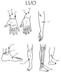 103 Best Jing Luo Images Acupuncture Acupressure