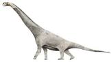 نتیجه جستجوی لغت [brachiosaurus] در گوگل