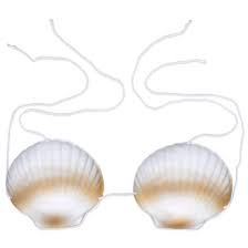 Details About Hawaiian Sea Shell Seashell Bra Mermaid Luau Costume Bikini Top Eva