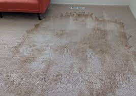 vancouver wa carpet cleaning services