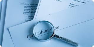 THE CV AGENCY     CAREER DOCUMENTS SPECIALISTS 
