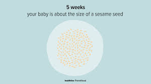 5 weeks pregnant symptoms tipore