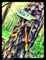 The layout plays through a mature forest that is bordered on both sides by old farm fields. Pin On Disc Golf