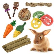 rabbit chew toys bunny chew toys