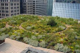 Chicago City Hall S Rooftop Garden