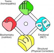 Integrated Wellness Therapies Neuro Emotional Technique Net