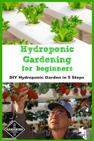 You can now grow plants and crops in small spaces and in places with a bad soil. Beginner S Guide To Hydroponic Gardening Gardening Channel