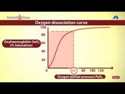 Understanding Oxygen Saturation Levels