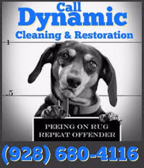dynamic cleaning and restoration 2739