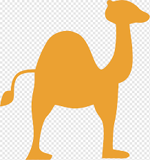 Download in under 30 seconds. Dromedary Eid Al Adha Orange Camel Mammal Animals Carnivoran Png Pngwing