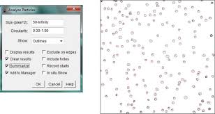 Quick And Easy Automatic Cell Counting Bitesize Bio