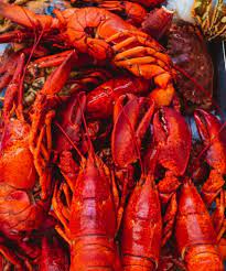 how to reheat cooked lobster best