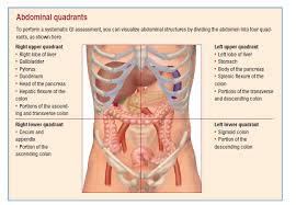 Describe organs found by abdominal quadrant. Nclex Gastrointestinal Disorders Brilliant Nurse