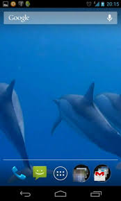 dolphins 3d live wallpaper apk for