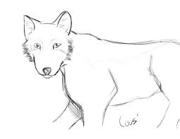 More images for dessin de loup facile a dessiner » Kawaii Comment Dessiner Un Loup Facile Novocom Top