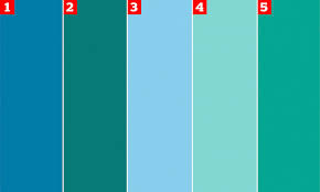 Is It Green Or Blue Baffling Colour Illusion Tests Users