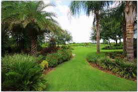 Tropical Landscape Designs Of Tampa Bay