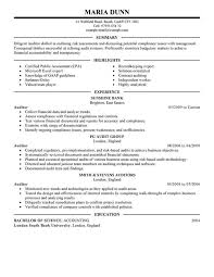 Take a look at this external auditor cv template for some hints and handy tips for making your own curriculum vitae a true testament to your qualifications. The Best Accountant Cv And Resume Examples