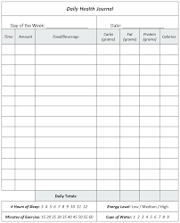 3 Day Food Diary Template Printable Daily Health Journal 3