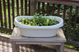 Upcycled Garden Container Grow Greens