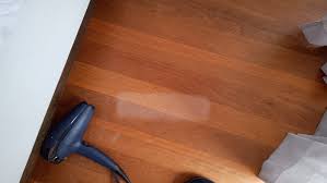 wooden floor steam mop damage can this