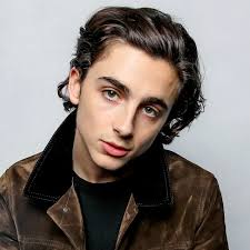 How he learned to stop worrying and love his king haircut. How To Get Timothee Chalamet S Epically Good Hair Gq