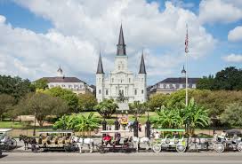 65 things to do in new orleans besides