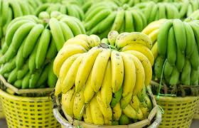 green bananas health benefits