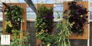 How To Grow A Vertical Garden Milorganite