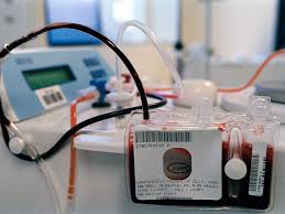 storing cord blood in a private bank