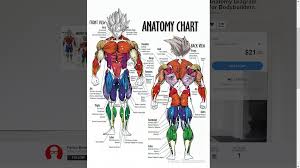 Super Sayan Anatomy Diagram Dragon Ball Know Your Meme