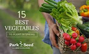 15 best vegetables to plant in spring