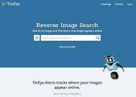reverse image search in insram