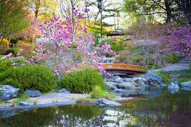 Beautiful Japanese Garden Stock Photo