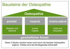 Die erste osteopathische behandlung beginnt mit einem ausführlichen anamnesegespräch. Naturheilpraxis Lorenz Freiberg Am Neckar Osteopathie