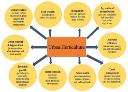 urban horticulture for food