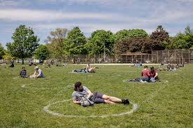 Toronto's trinity bellwoods park is looking a little different today. People Hang Out At Trinity Bellwoods Park Sitting In Social Distancing Circles The Circles Have A