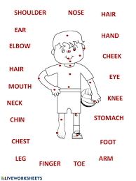 Engaging esl parts of the body games, activities and worksheets to help your students learn and practice body parts vocabulary and language. Body Parts Online Pdf Activity