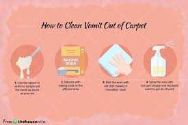 how to clean vomit from carpet hotsell