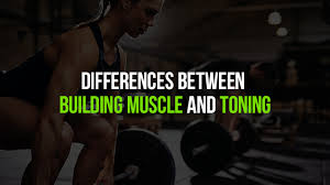 building muscle and toning
