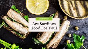 are sardines good for you food for net