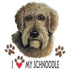 Details About Schnoodle Pick Your Size T Shirt 7 X Large To 14 X Large