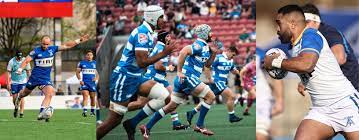 toronto arrows mlr official rugby