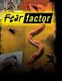 Fear Factor 2021 from www.imdb.com