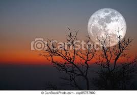 Mountains, moon, sunset, trees, forest, nature. Full Moon And Silhouette Dry Trees In The Sunset Red Orange Sky Elements Of This Image Furnished By Nasa Canstock