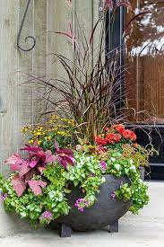 Fall Window Box And Container Ideas