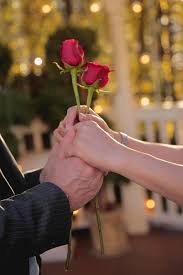 25 beautiful and romantic flower images. Love Celebration Roses Valentine Romance Flower Couple Feelings Romantic Pikist