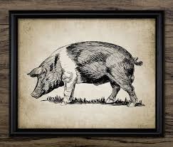 Hampshire Pig Wall Art Printable