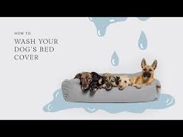 how to wash dog bed covers you