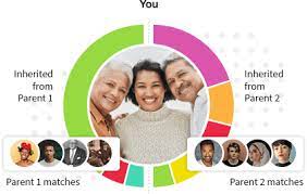 dna tests for ethnicity genealogy dna